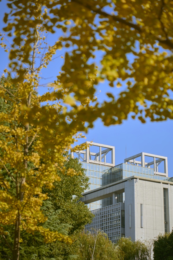 安徽高校的初冬，是“糖炒栗子味”的！