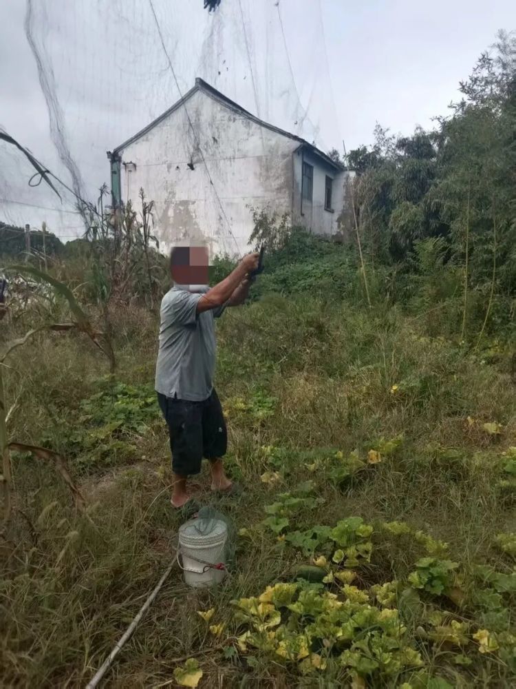 冰箱内查获鸟类死体！上海3人被抓，为了“尝鲜”明知故犯