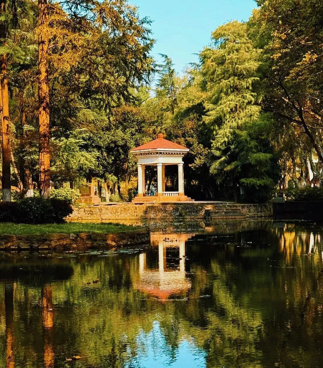 安徽高校的初冬，是“糖炒栗子味”的！