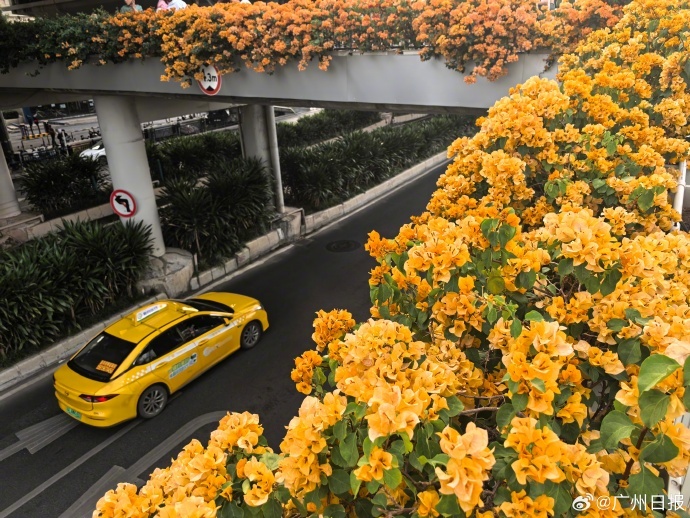 广东官宣：全省入秋！下周还有冷空气影响广州，新台风即将生成