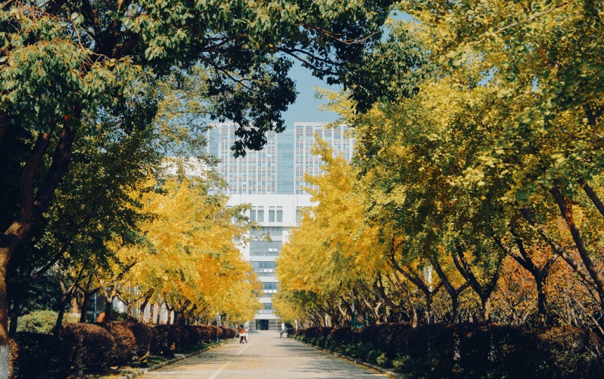 安徽高校的初冬，是“糖炒栗子味”的！