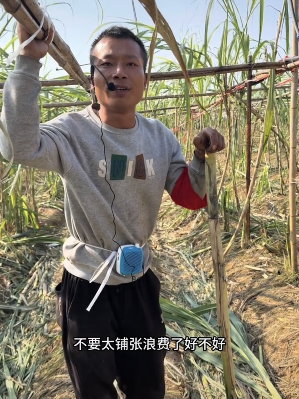 排队数百米!四川自助“偷甘蔗”农场带火全村,村民自发沿街摆摊成乡村“夜市” 排队数百米!四川自助“偷甘蔗”农场带火全村,村民自发沿街摆摊成乡村“夜市”