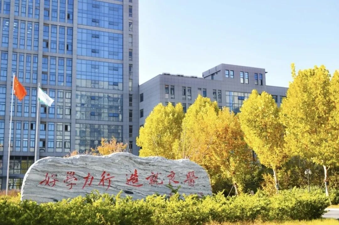 安徽高校的初冬，是“糖炒栗子味”的！