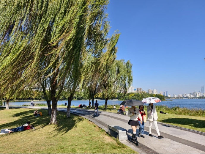 最低温零下2℃！冷空气“补货”，广西局地有霜冻