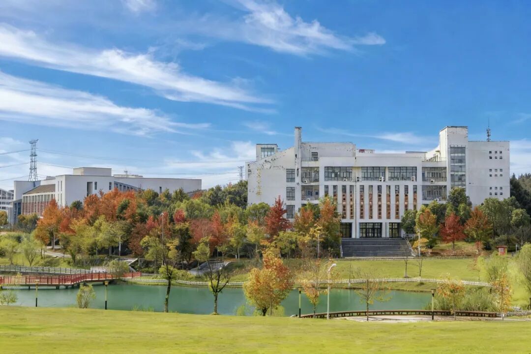 安徽高校的初冬，是“糖炒栗子味”的！