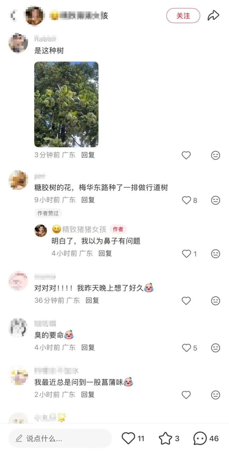 “闻了头晕”“鼻子难受”！珠海街头近期大量出现！