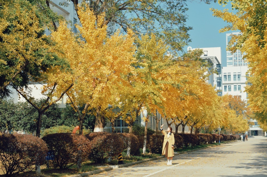 安徽高校的初冬，是“糖炒栗子味”的！