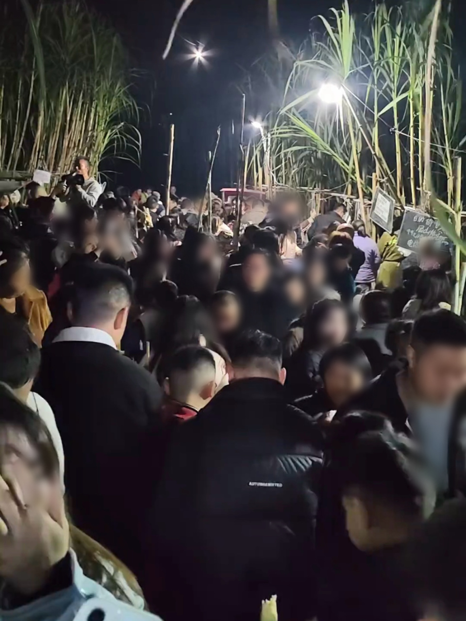 排队数百米!四川自助“偷甘蔗”农场带火全村,村民自发沿街摆摊成乡村“夜市” 排队数百米!四川自助“偷甘蔗”农场带火全村,村民自发沿街摆摊成乡村“夜市”