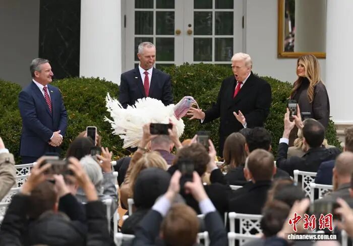 特朗普“赦免”火鸡