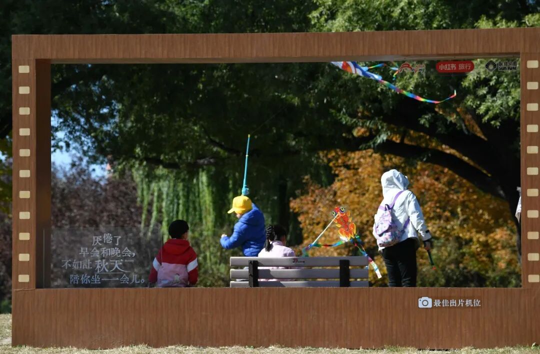 3分钟，留住北京的秋天！