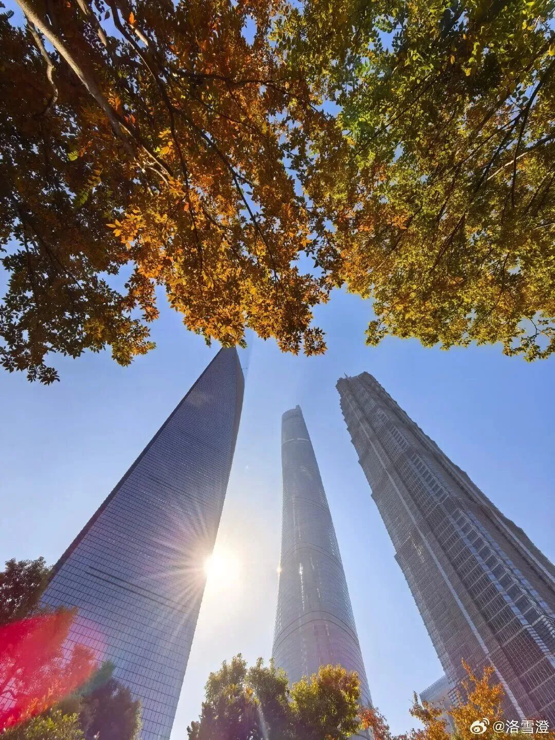 冷空气明天到！上海最低0℃！本周六又升至20℃，11月底这样的温度正常吗？