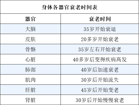 身体各器官衰老时间表 身体各器官衰老时间表