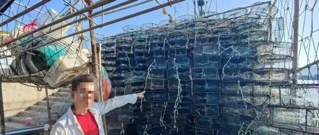 海警从13筐螃蟹中“挖出”一非法捕捞团伙