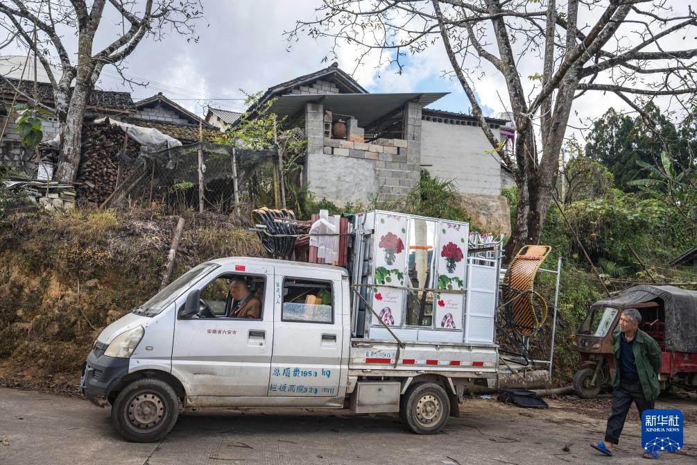 焦点丨“蜂拥而上”的虎头蜂产业，是商机还是骗局
