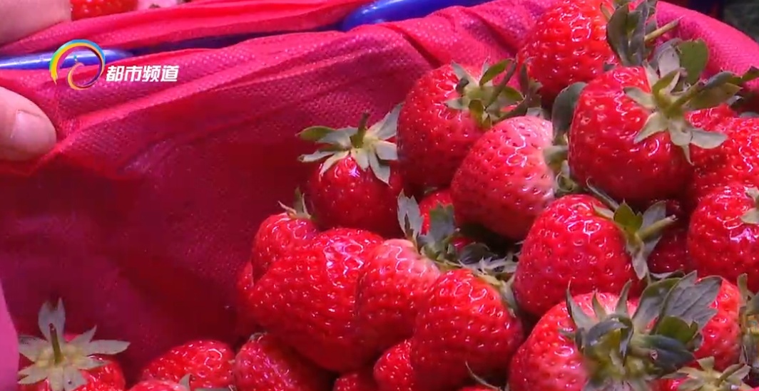 受天气影响，昆明草莓价格微涨！大量上市还要等一等