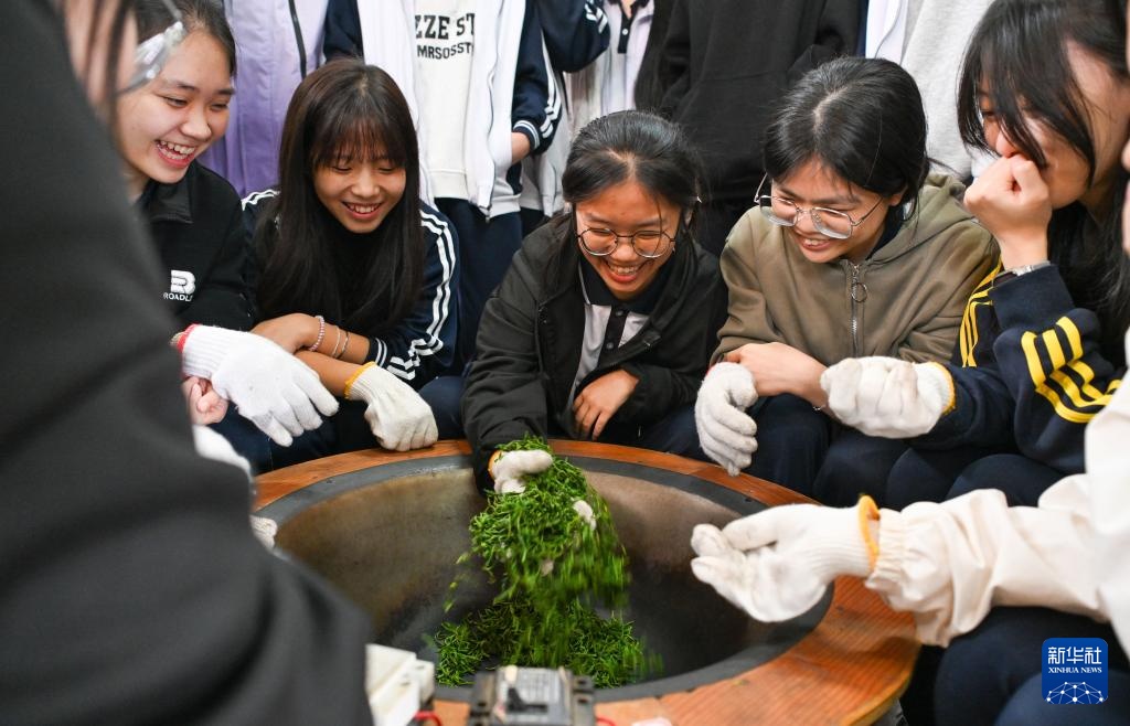 海南白沙:“三棵树”共绘热带特色产业振兴图 海南白沙:“三棵树”共绘热带特色产业振兴图