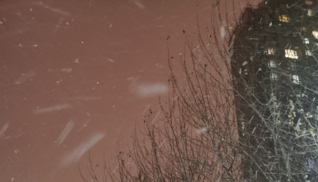 中雪、大雪、暴雪！辽宁发布预报！明早出行一定注意……