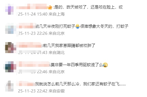 冲上热搜！冬天咬人的蚊子已经出现了，繁殖几乎不受限，网友“哀嚎”：已经被咬了