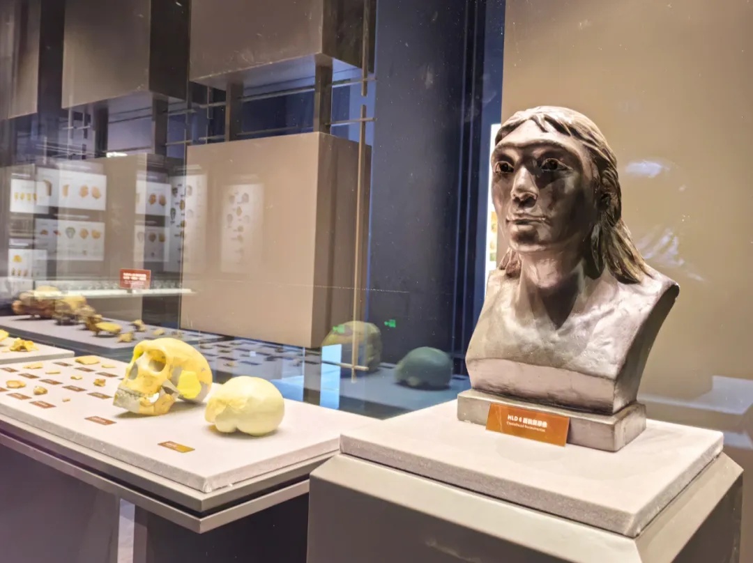 华龙洞遗址新发现! 华龙洞遗址新发现!