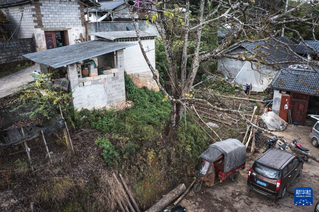 焦点丨“蜂拥而上”的虎头蜂产业，是商机还是骗局