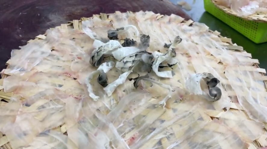 江苏多人因食用淡水生鱼片感染肝吸虫