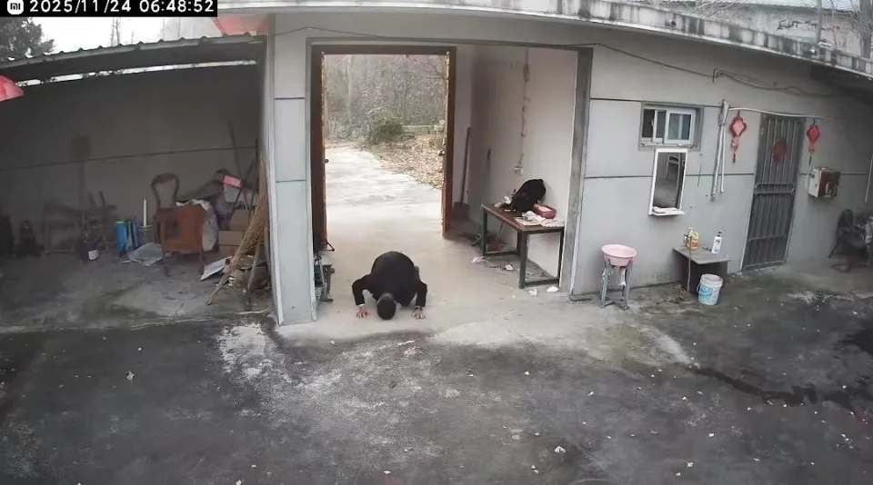 “80后男子跪别老宅”刷屏，全网共鸣：没有父母后感觉家不再是家