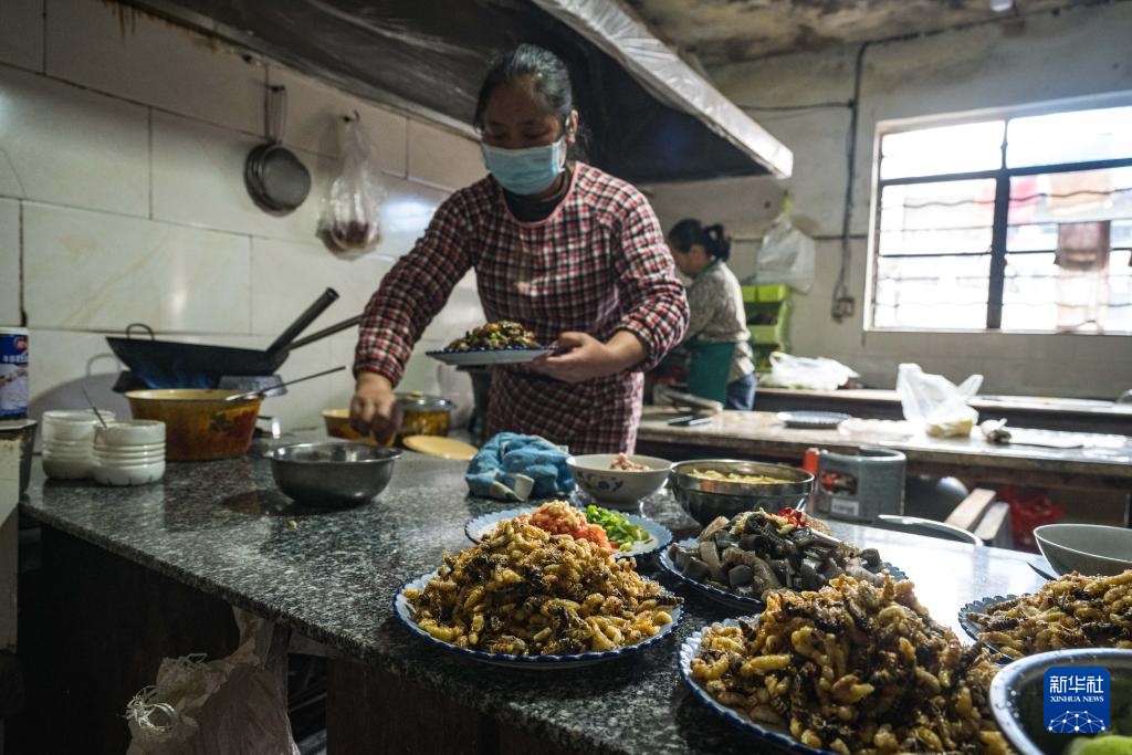 焦点丨“蜂拥而上”的虎头蜂产业，是商机还是骗局