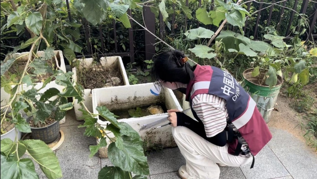 冲上热搜！冬天咬人的蚊子已经出现了，繁殖几乎不受限，网友“哀嚎”：已经被咬了