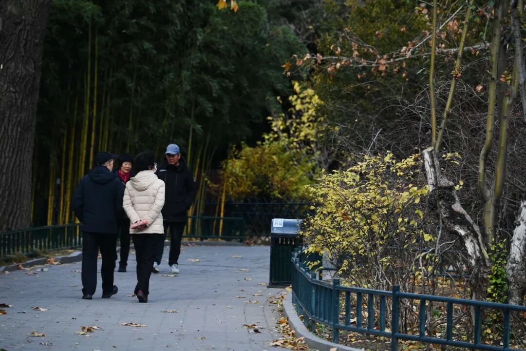 3分钟，留住北京的秋天！