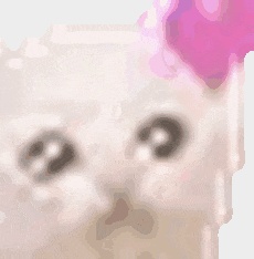 大学生给食堂叔叔备注加点粉，却惊喜收到一条信息……