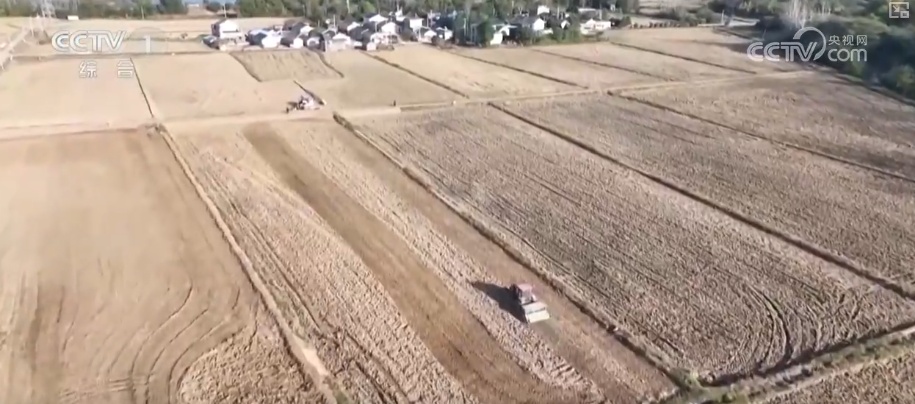 冬储、冬播、冬种 全方位解锁智慧农业赋能 农技护航筑牢丰收根基 冬储、冬播、冬种 全方位解锁智慧农业赋能 农技护航筑牢丰收根基