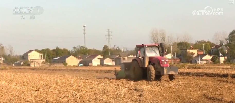 冬储、冬播、冬种 全方位解锁智慧农业赋能 农技护航筑牢丰收根基 冬储、冬播、冬种 全方位解锁智慧农业赋能 农技护航筑牢丰收根基