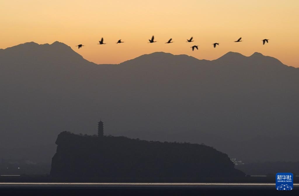 鄱湖如画 候鸟翔集 鄱湖如画 候鸟翔集
