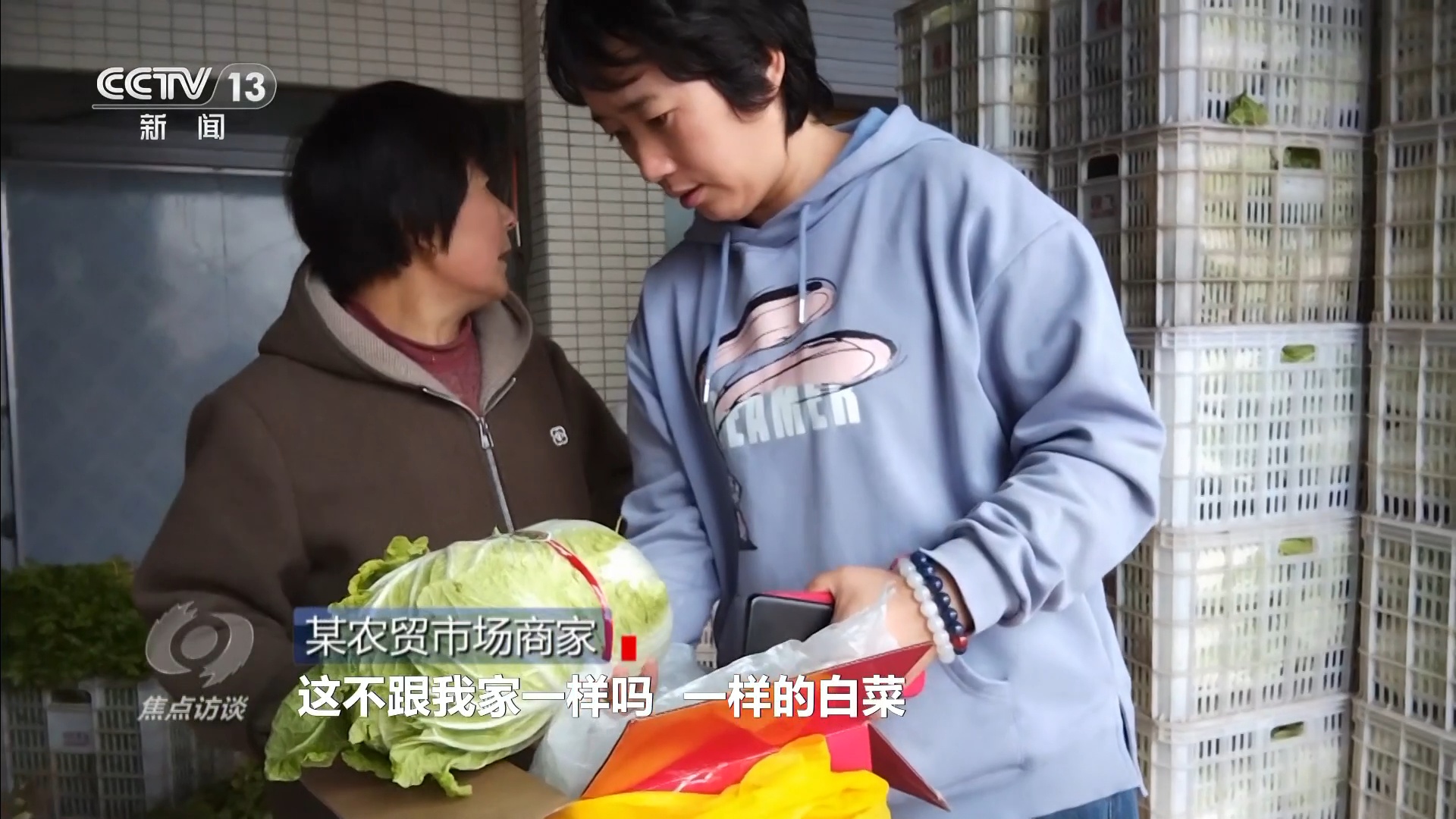 焦点访谈 | 从“胶州大白菜”看地理标志保护,这些坑千万别踩! 焦点访谈 | 从“胶州大白菜”看地理标志保护,这些坑千万别踩!