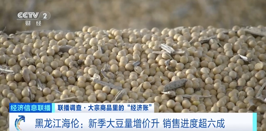 东北“金豆豆”，太抢手了！