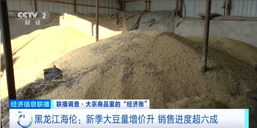 东北“金豆豆”，太抢手了！