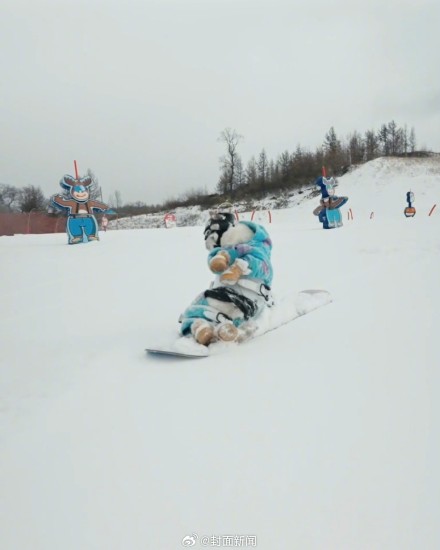 女子回应带猫滑雪被指虐猫:花数千元买装备,是社会化训练 女子回应带猫滑雪被指虐猫:花数千元买装备,是社会化训练