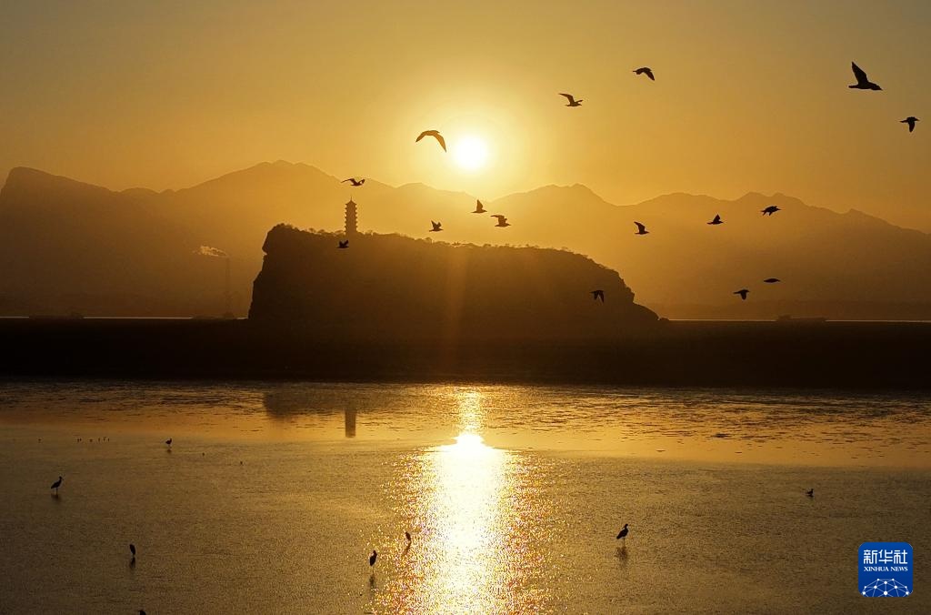 鄱湖如画 候鸟翔集 鄱湖如画 候鸟翔集