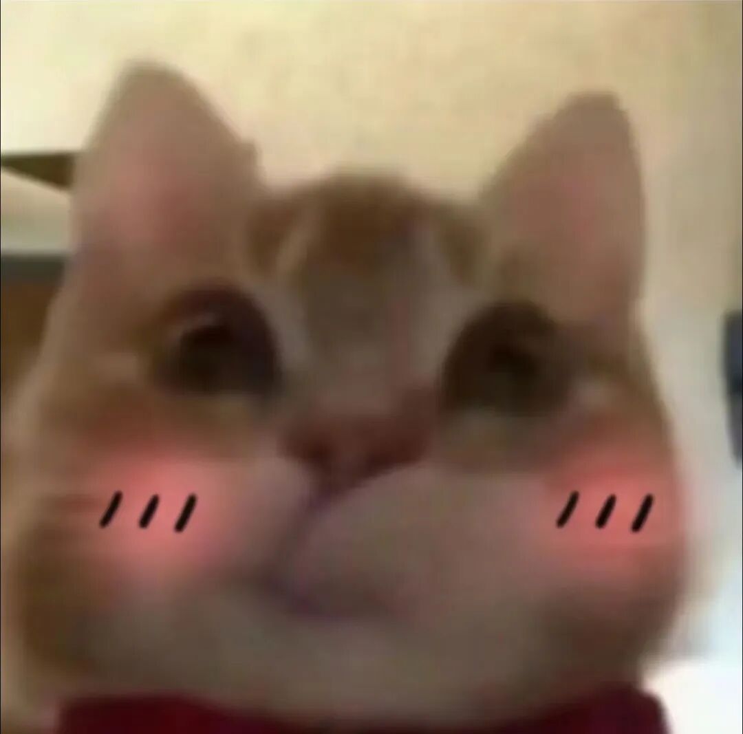 大学生给食堂叔叔备注加点粉，却惊喜收到一条信息……