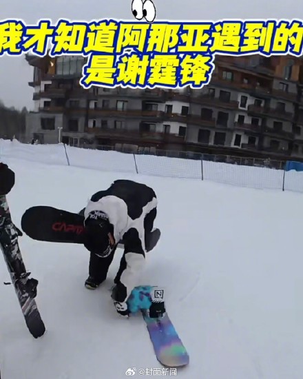 女子回应带猫滑雪被指虐猫:花数千元买装备,是社会化训练 女子回应带猫滑雪被指虐猫:花数千元买装备,是社会化训练