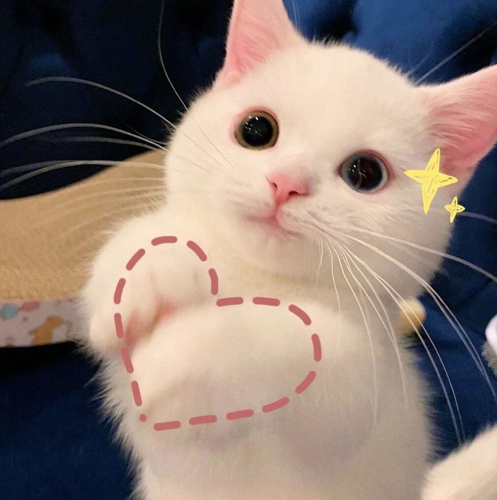 大学生给食堂叔叔备注加点粉，却惊喜收到一条信息……