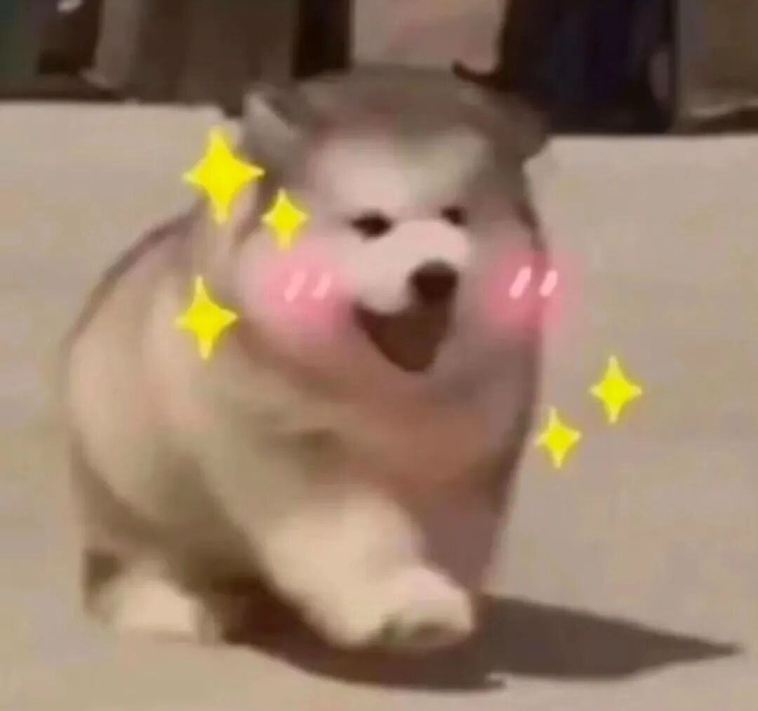 大学生给食堂叔叔备注加点粉，却惊喜收到一条信息……