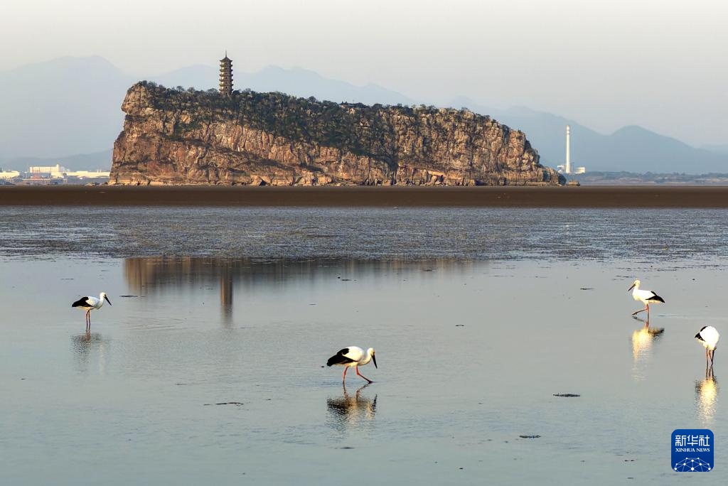 鄱湖如画 候鸟翔集 鄱湖如画 候鸟翔集