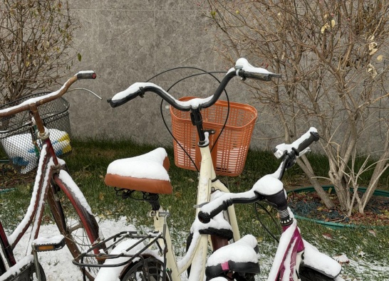 辽宁哪儿的雪最大？双预警继续！明早嘎嘎冷！