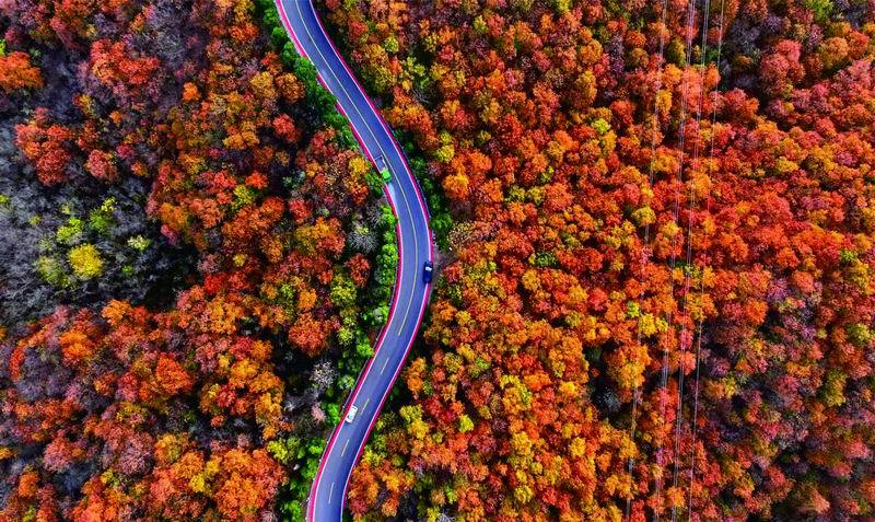 河南济源：一条旅游路串起乡村振兴“珍珠链”