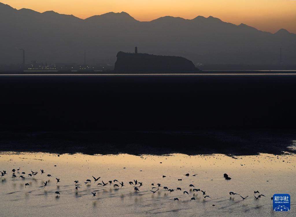 鄱湖如画 候鸟翔集 鄱湖如画 候鸟翔集