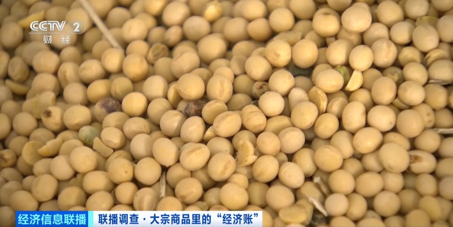 东北“金豆豆”，太抢手了！