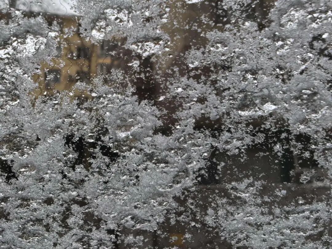 辽宁哪儿的雪最大？双预警继续！明早嘎嘎冷！