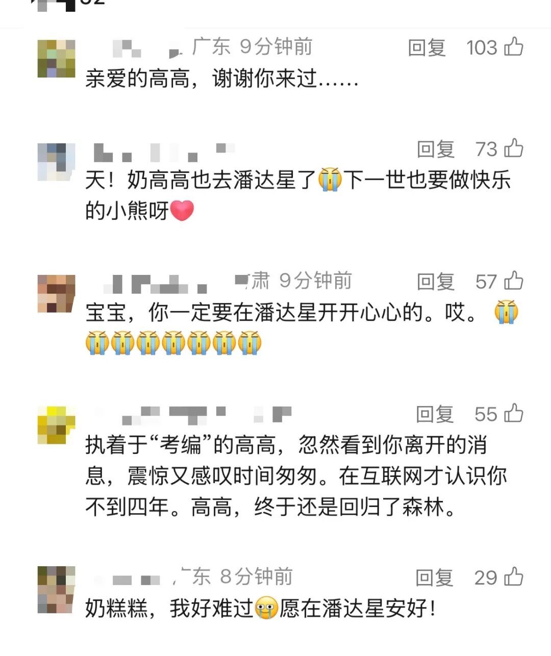 传奇大熊猫“高高”去世，年约33岁