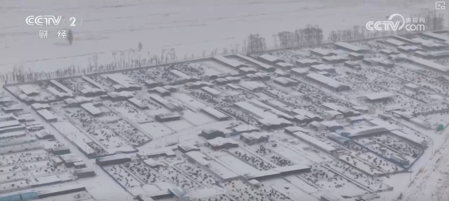 清扫、巡逻、走访……各部门协力应对风雪 保障道路畅通与群众生产生活